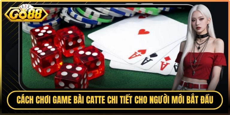 Cách Chơi Game Bài Catte Chi Tiết Cho Người Mới Bắt Đầu 4 Cách Chơi Game Bài Catte Chi Tiết Cho Người Mới Bắt Đầu